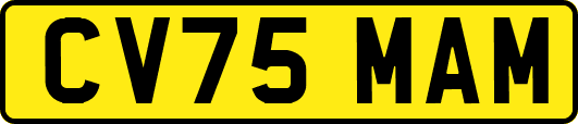 CV75MAM