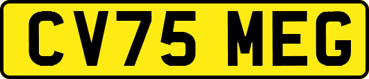 CV75MEG