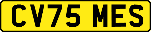 CV75MES