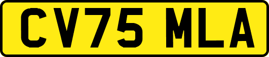 CV75MLA