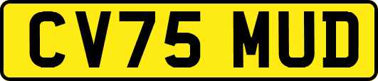 CV75MUD