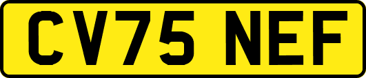 CV75NEF