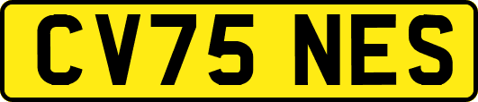 CV75NES