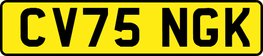 CV75NGK