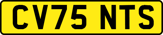 CV75NTS