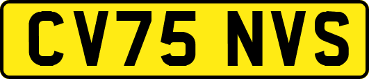 CV75NVS