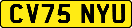 CV75NYU