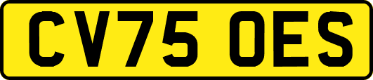 CV75OES