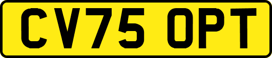 CV75OPT