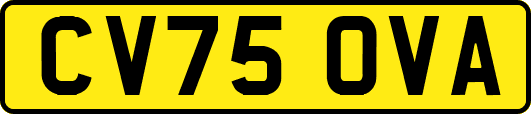 CV75OVA