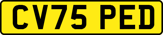 CV75PED