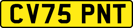 CV75PNT