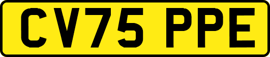 CV75PPE