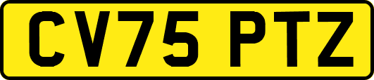 CV75PTZ