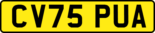 CV75PUA