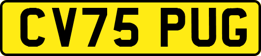 CV75PUG