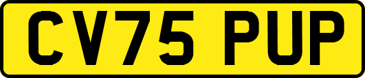 CV75PUP