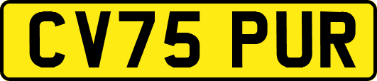 CV75PUR