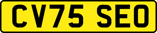 CV75SEO