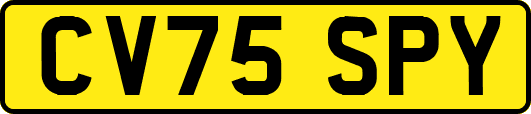 CV75SPY
