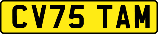 CV75TAM