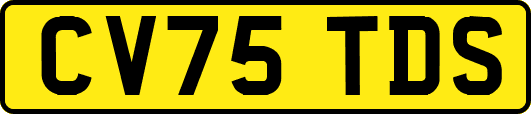 CV75TDS