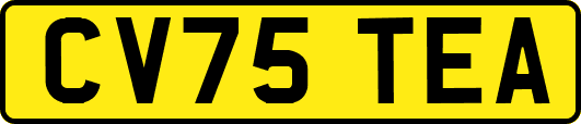 CV75TEA
