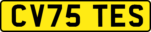 CV75TES