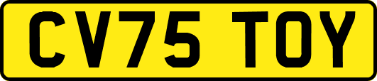 CV75TOY