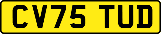 CV75TUD