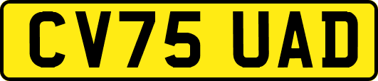 CV75UAD
