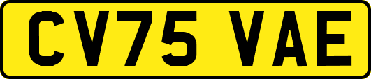 CV75VAE