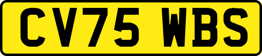 CV75WBS