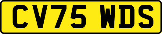 CV75WDS