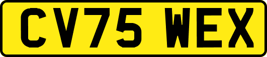 CV75WEX