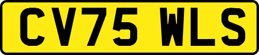 CV75WLS