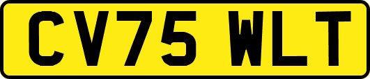 CV75WLT