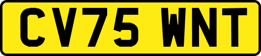 CV75WNT