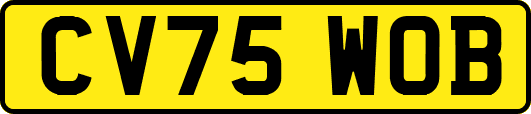 CV75WOB
