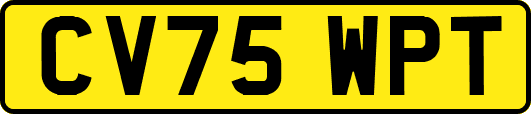 CV75WPT