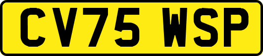 CV75WSP
