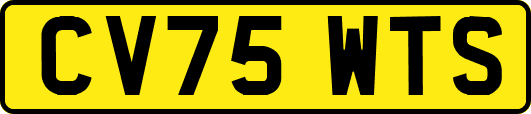 CV75WTS