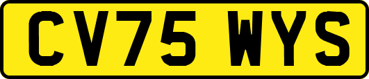 CV75WYS