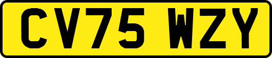 CV75WZY