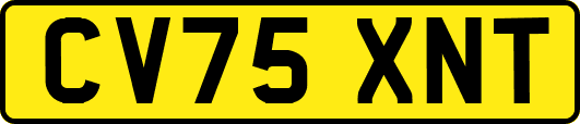 CV75XNT