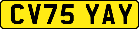 CV75YAY