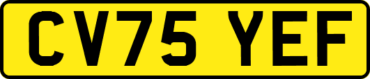 CV75YEF
