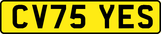 CV75YES