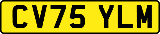 CV75YLM