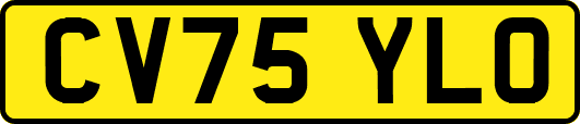 CV75YLO